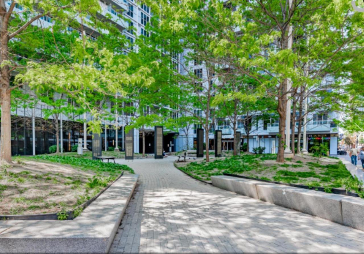 Executive 2 Beds Near Cn Tower, Rogers Centre, Scotia Area, Business District, Entertainment District, Lakeshore Τορόντο Εξωτερικό φωτογραφία
